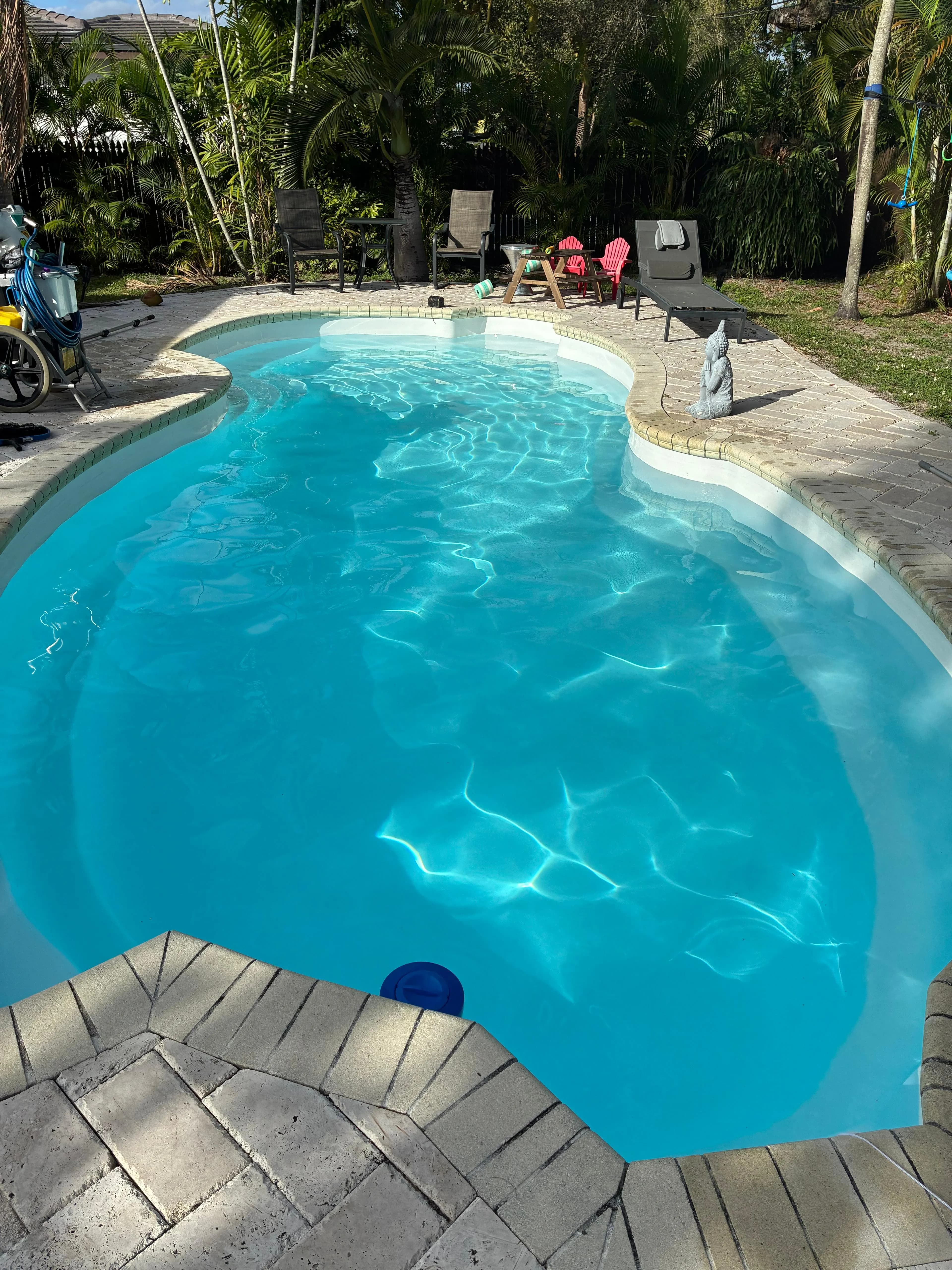 Freeform Pool — Crystal Clear Water