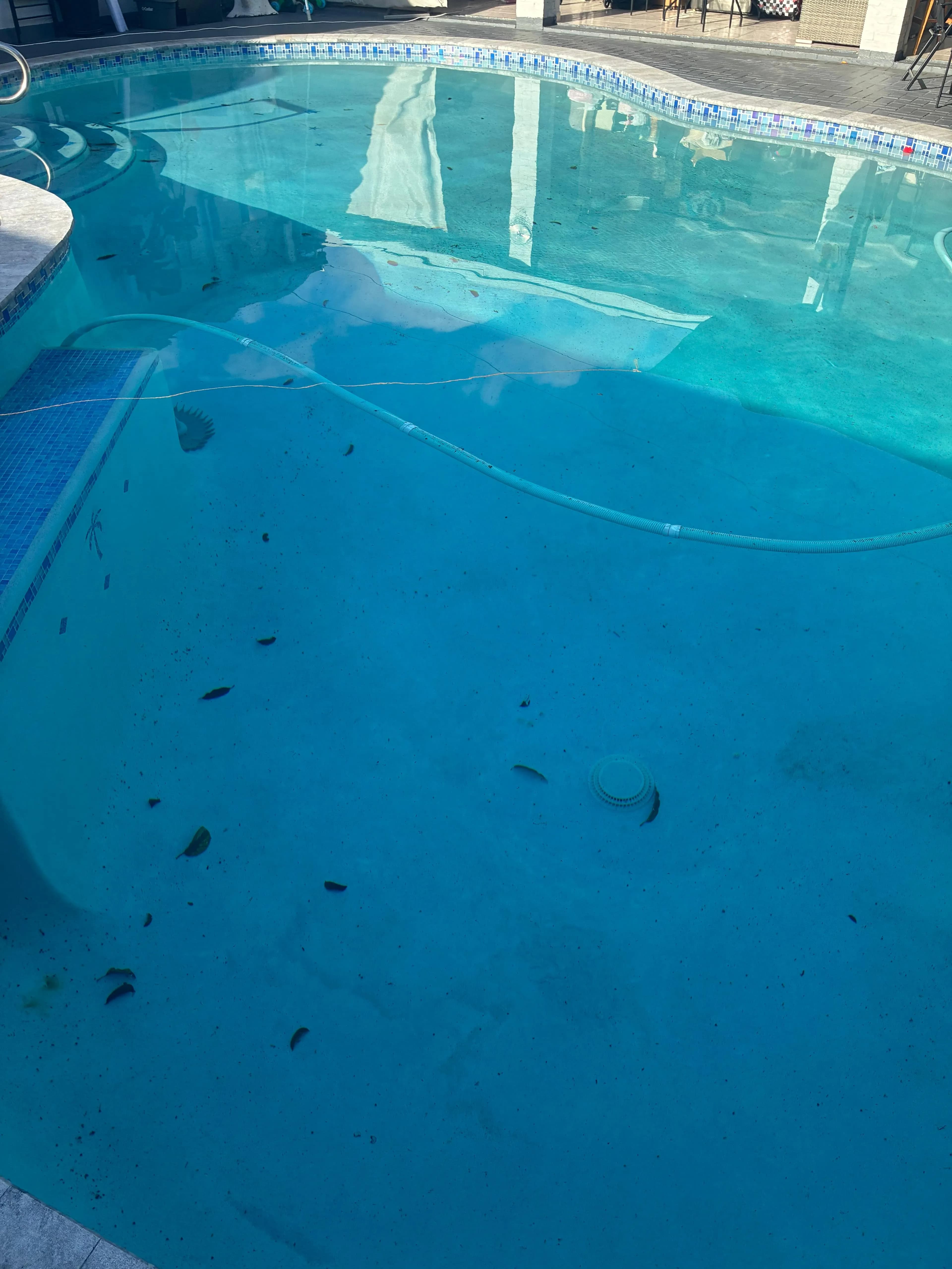 Pool Before Cleaning — Leaves & Debris