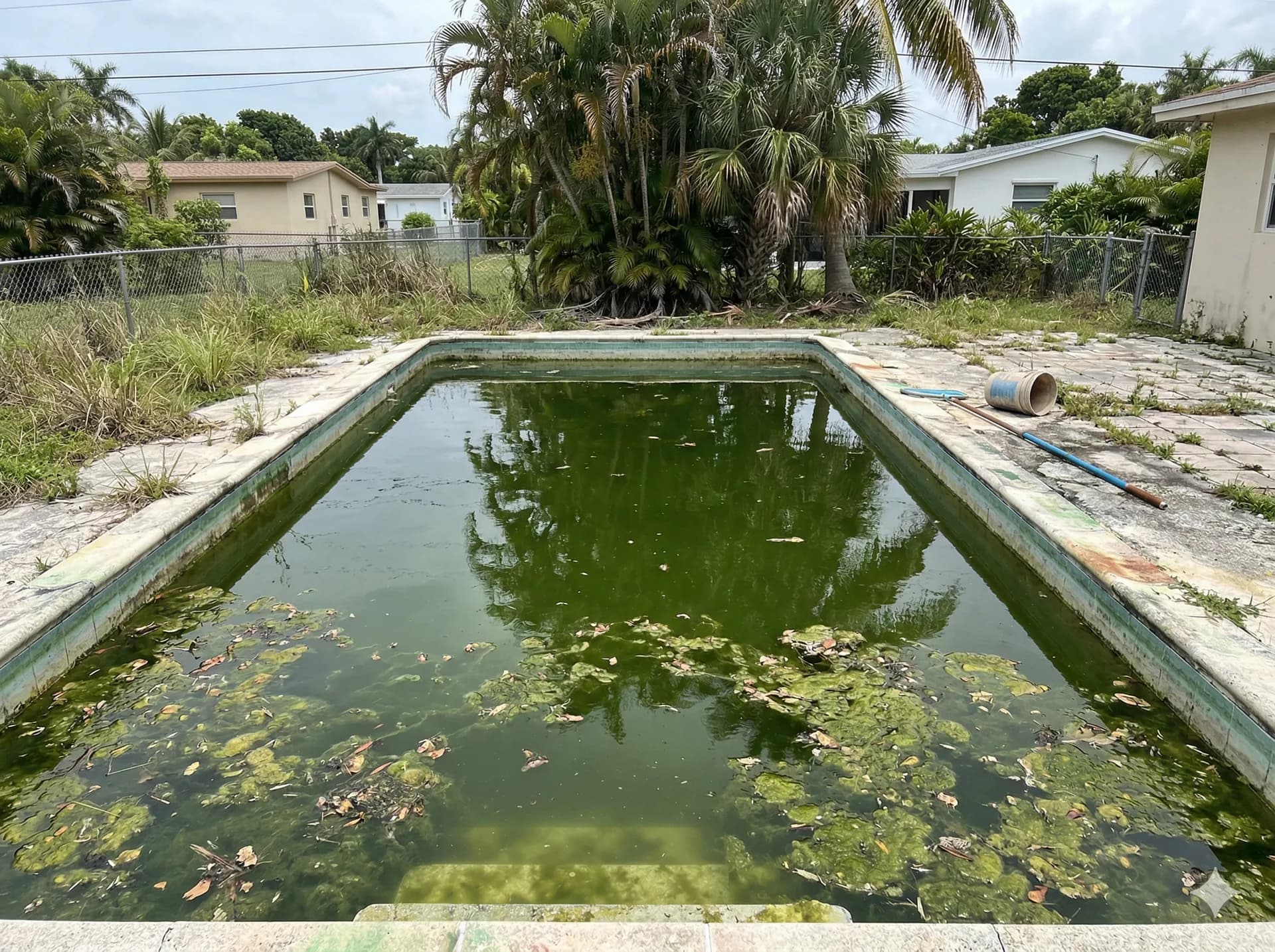 Green Pool — Before Treatment